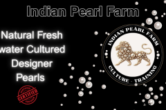 Cultured Designer Pearl