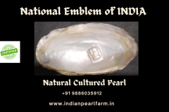 Designer-Pearls.pdf - 13