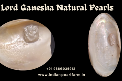 Designer Ganesha -Pearls