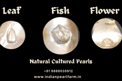 Designer-Pearls.pdf - 9