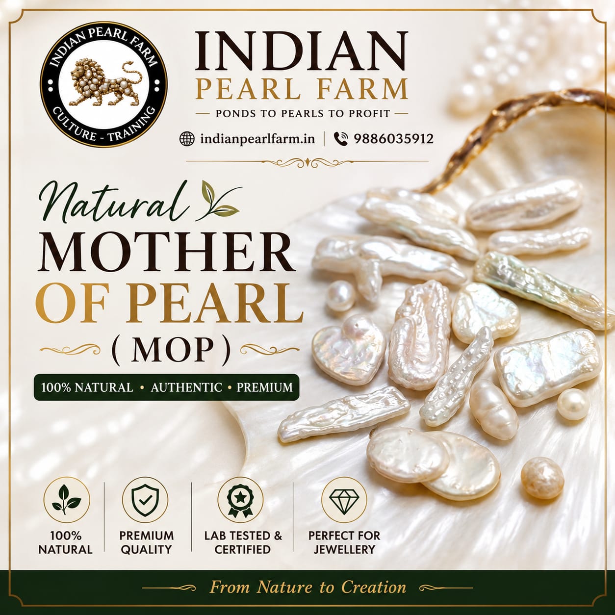 Mother Of Pearl