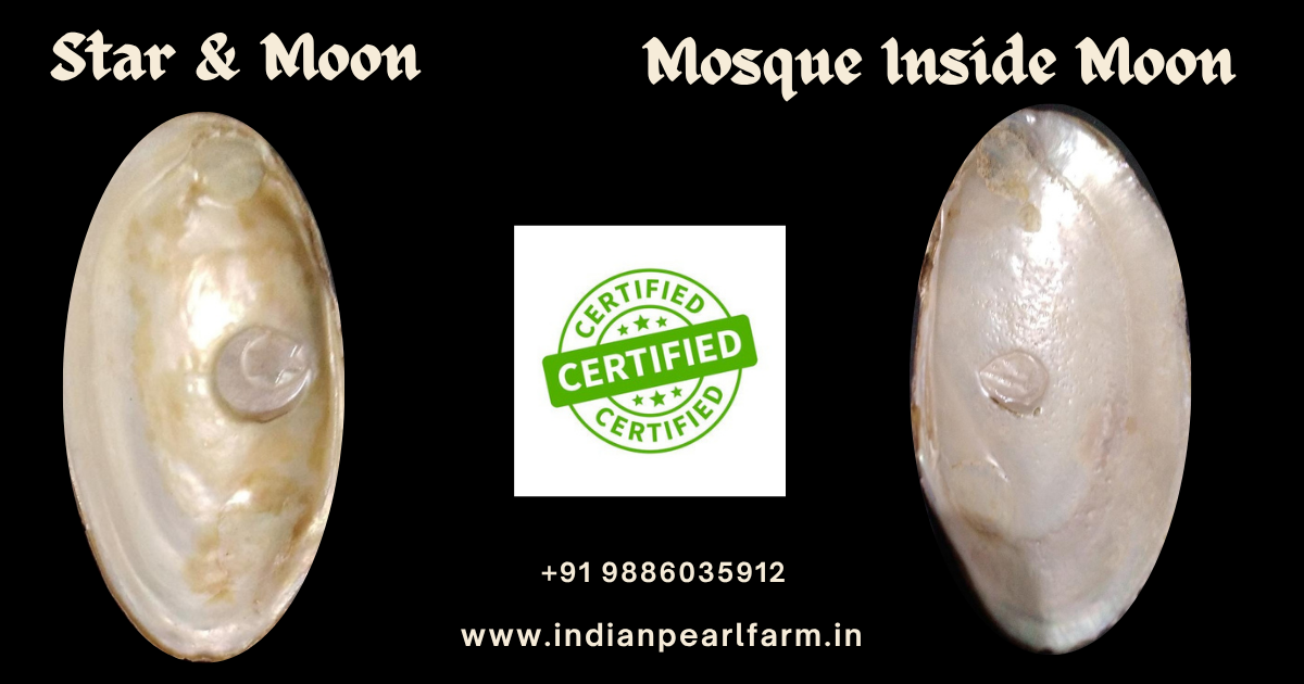 islam symbol natural pearl