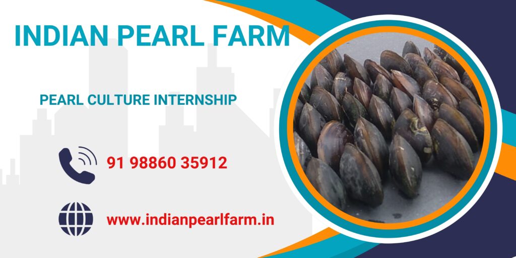 Pearl Culture Internship