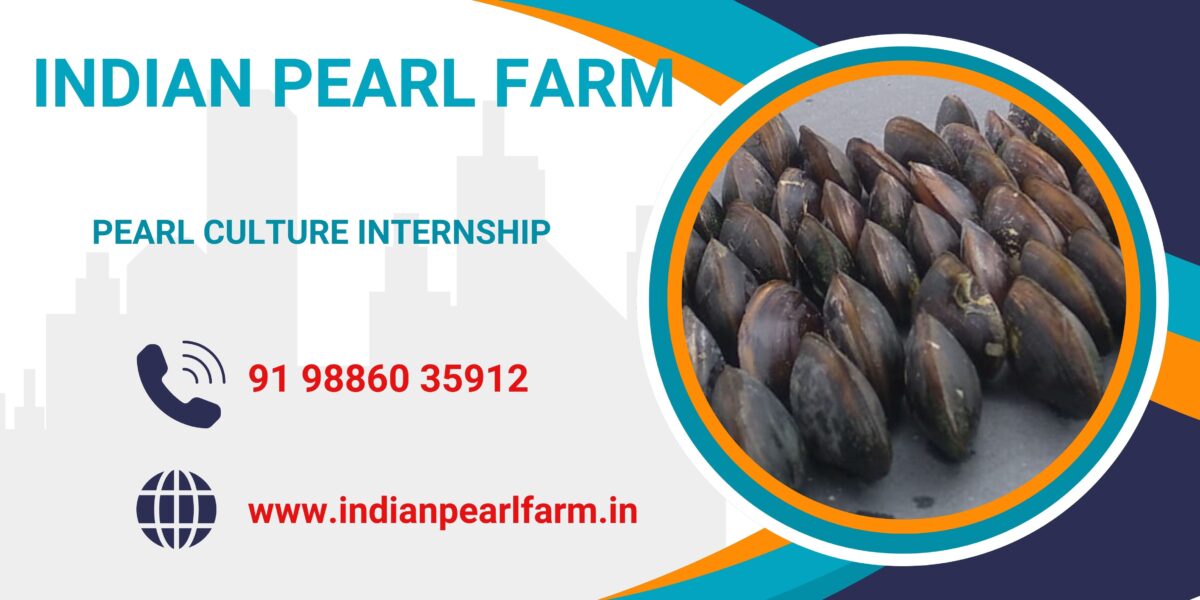 Pearl Culture Internship in India