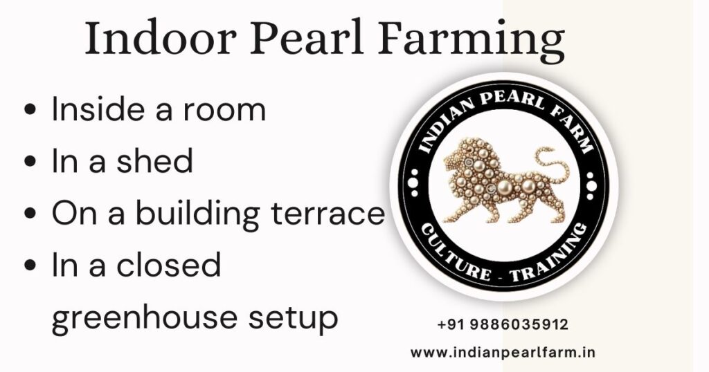 Pearl Farming
