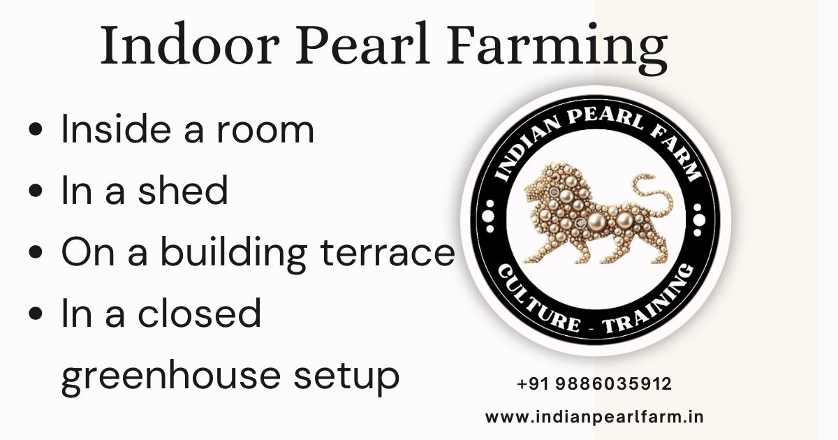 Pearl Farming