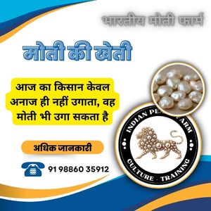 मोती की खेती से नई आय का अवसर