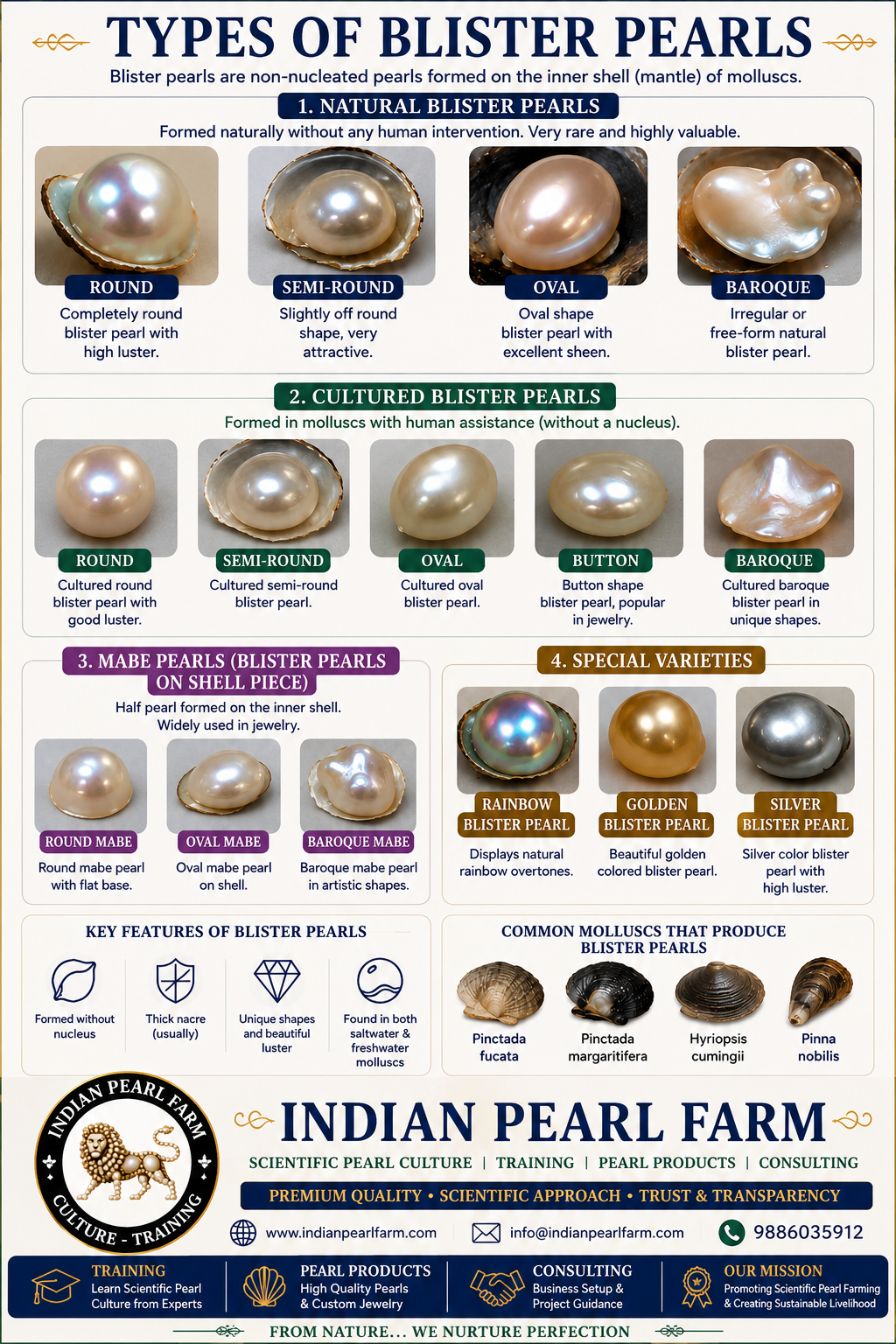 Blister Pearls – Formation and Cultivation