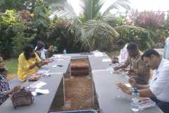 Pearl-Farming-Implantation